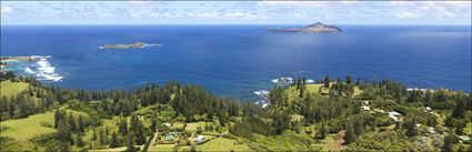Bumboras - Norfolk Island (PBH4 00 18963)